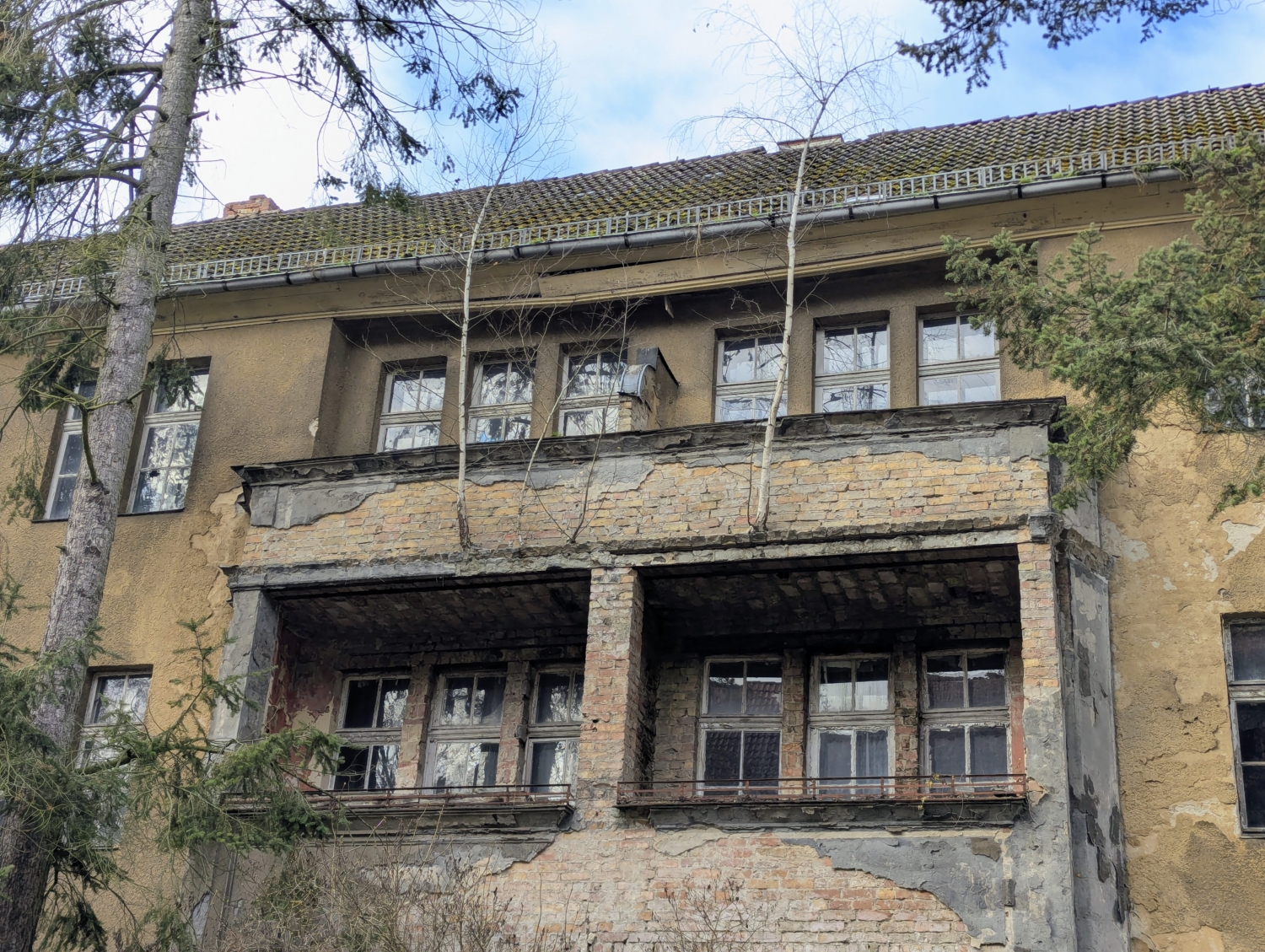 Foto - Birken wachsen aus dem Balkon Loreleystraße 3 - Lizenz CC0